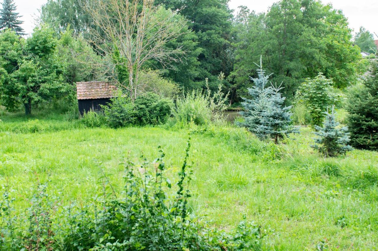 Ferienwohnung Auf Ehemaligen Bauernhof In Der Naehe Von Bamberg Walsdorf  Dış mekan fotoğraf